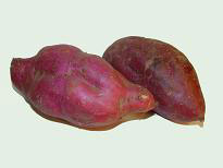 kumara.jpg